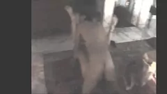 Play Slutty Wife's Wild Birthday Gang Bang in Belgium